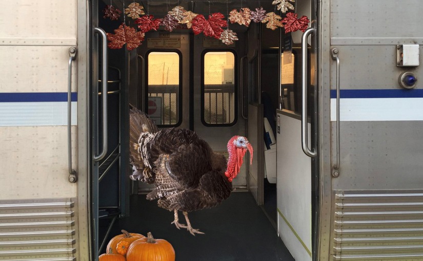 Tips for a Successful Thanksgiving Trip on the Train